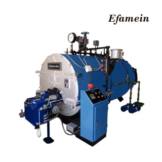 100 BHP – Caldera Pirotubular Efamein